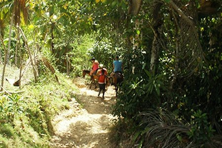 El Limon Excursion by Horse Back Riding from Las Terrenas Tour Agency.