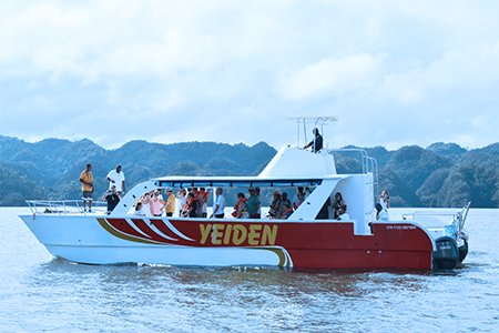 Whale Watching in Samana Bay from Las Terrenas Samana DR.