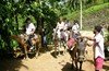 Salto Del Limon Waterfall - Things to Do in Las Terrenas, Samana Dominican Republic.